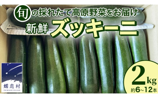 
                  旬の採れたて 新鮮 ズッキーニ 2kg （約6～12本） 野菜 夏野菜 やさい 嬬恋村 高原野菜 先行予約 [BT003tu]
                