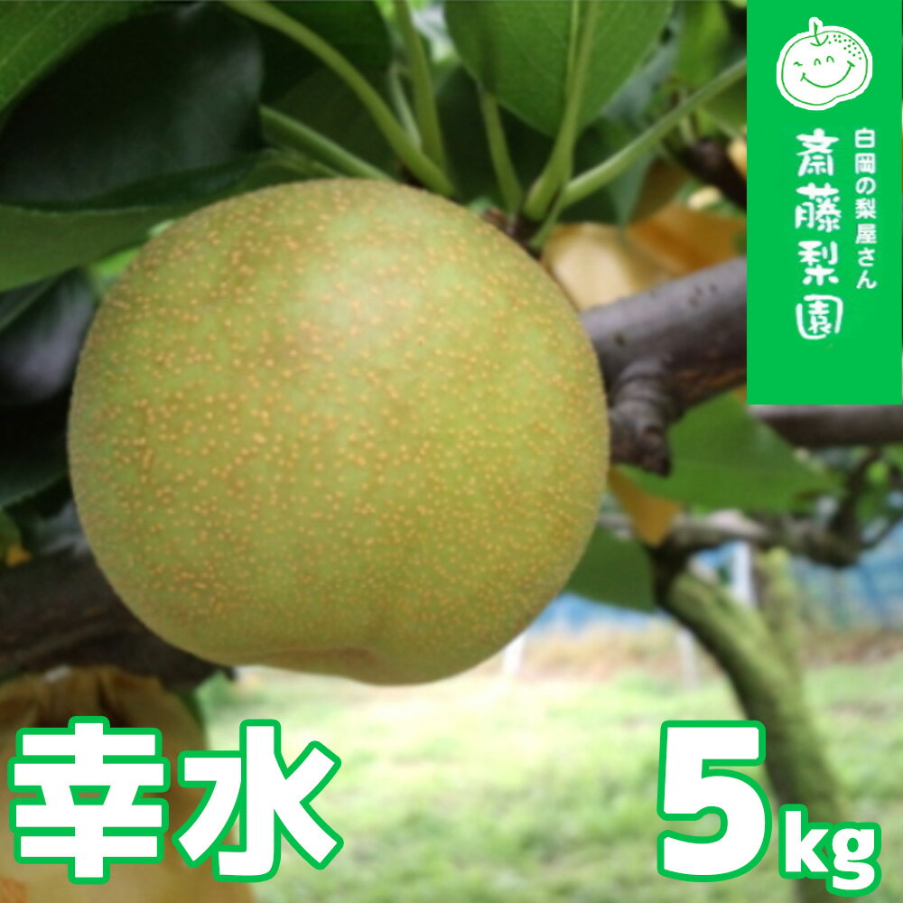 【ふるさと納税】R9先行予約 幸水 約5kg 梨 白岡・下野田 斎藤さんちの美味しい梨 | 埼玉県 白岡市
