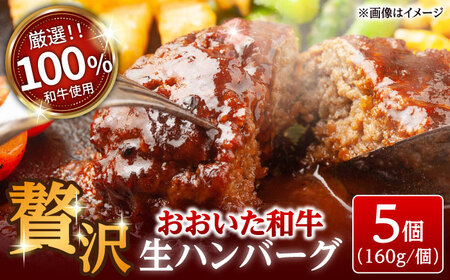 厳選「おおいた和牛」100%使用贅沢な生ハンバーグ(160g×5個) 日田市 おおいた和牛 牛肉 ハンバーグ [ARFE003]
