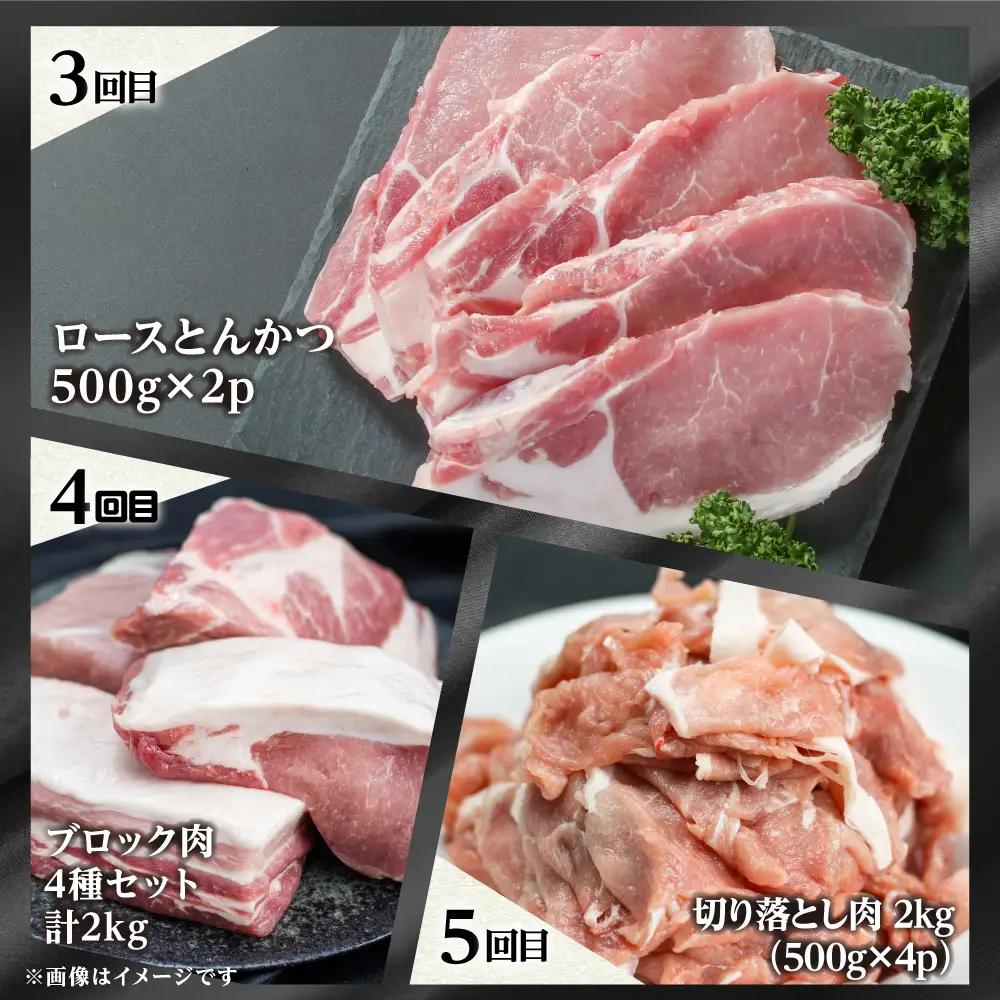 《まるごと定期便》結旨豚 三昧 5回 お届け ロース肉 しゃぶしゃぶ 国産 豚肉 焼肉 バラ 切り落とし スライス カツ とんかつ 食べ比べ 定期便 [S601]