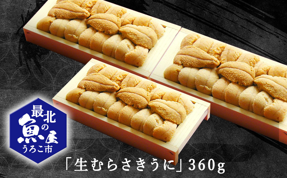利尻昆布を食べておいしく育った「生むらさきうに」360ｇ