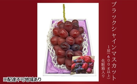 ぶどう 2026年 先行予約 ブラックシャインマスカット1房（600ｇ以上）化粧箱