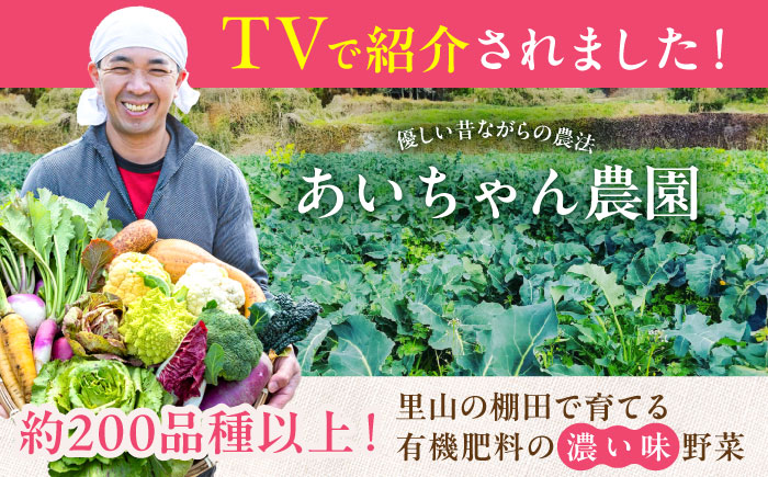 【8品】農薬に頼らない！カラダにやさしい「よしのがり野菜」セット（ショート）【吉野ヶ里あいちゃん農園】 [FAA001]