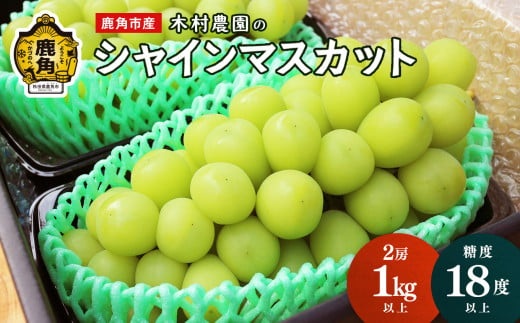 《先行予約》「シャインマスカット」2房 1kg以上 ●2025年9月中旬発送開始【木村農園】 高糖度 甘い ぶどう ブドウ シャインマスカット まるごと 皮ごと 食べやすい ブドウ 秋田県産 鹿角産 ギフト 贈り物 プレゼント