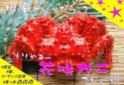 【北海道根室産】花咲ガニ2尾(計800g以上) B-59010