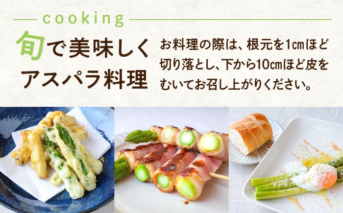 アスパラ 旬 野菜 グリーンアスパラ とれたて アスパラガス 朝採り 夏野菜