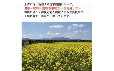 菜種油 ３本セット 油 食用油 なたね油