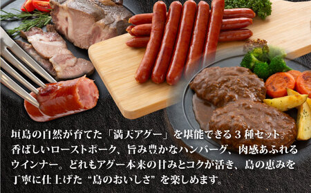 満天アグー 3種セット (ローストポーク 300g ハンバーグ 150g×2 ウインナー 200g×2) | 沖縄県 石垣市 石垣 沖縄 石垣島 ふるさと 人気 送料無料 アグー 豚 豚肉 ポーク