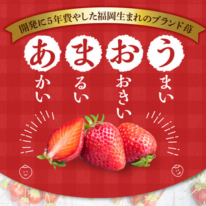 【2026年11月より順次発送】うるう農園のあまおうサイズ色々 4パック（1140g）_ いちご あまおう フルーツ 果物 〔Fi009〕