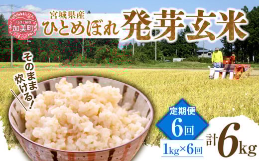 【6回定期便】 簡単に炊ける 宮城県産 ひとめぼれ 発芽玄米 1kg 計6kg(1kg×6回) [菅原商店 宮城県 加美町] 米 こめ コメ 玄米 発芽玄米 ご飯 | sg-hb01-hg-t6 |sg-hb-t