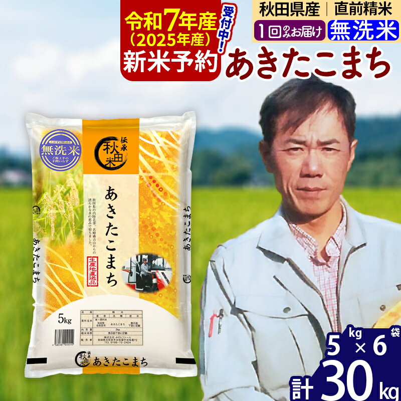 【ふるさと納税】※令和7年産 新米予約※秋田県産 あきたこまち 30kg【無洗米】(5kg小分け袋)【1回のみお届け】2025産 お米 みそらファーム