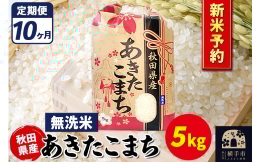 《令和7年産 新米受付》《定期便10ヶ月》あきたこまち 5kg【無洗米】秋田県産 こまちライン
