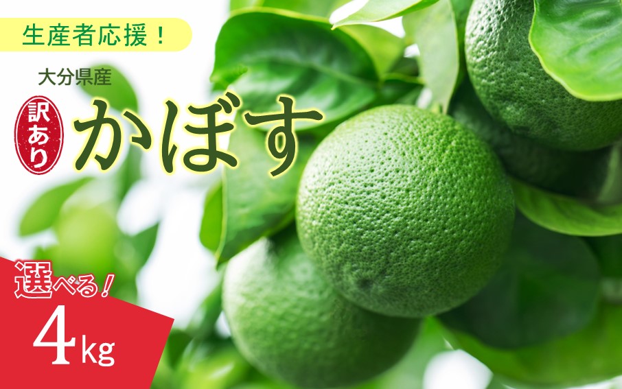 【訳あり】大分県産 露地かぼす 4kg_2612R-2