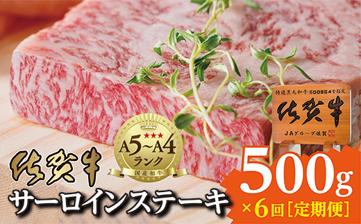 【6回定期便】佐賀牛サーロインステーキ 250g×2枚 隔月配送 全6回 定期便 _f-19