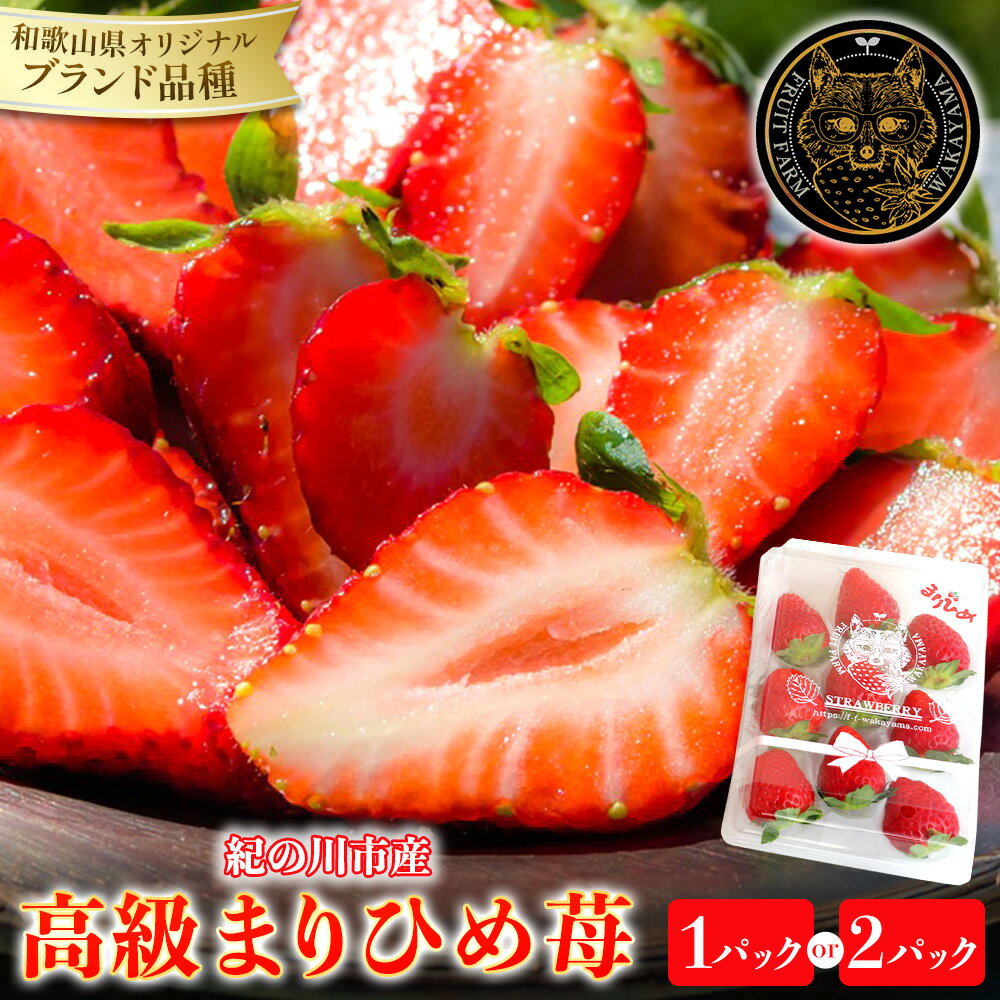 【ふるさと納税】和歌山県産 まりひめ苺 ゆりかーご入り 選べる 1パック 2パック いちご イチゴ 株式会社ふるーつふぁーむわかやま 《12月下旬-5月中旬頃出荷》 和歌山県 紀の川市