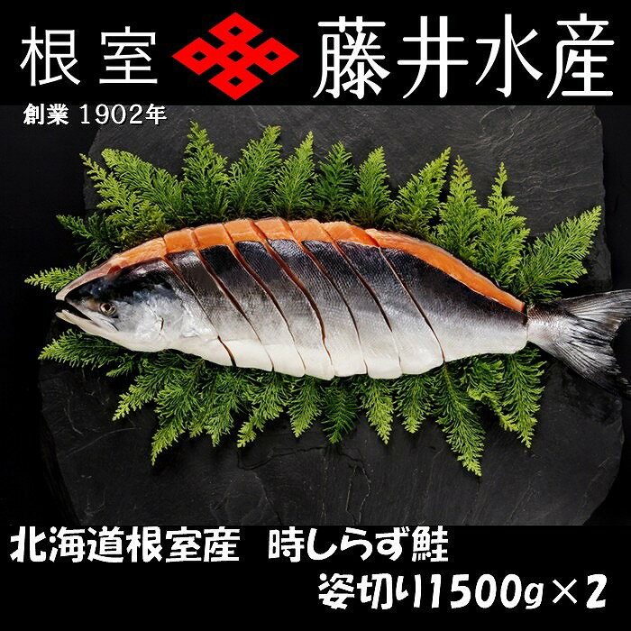 【ふるさと納税】[北海道根室産]時しらず鮭切身1.5kg×2P D-42074