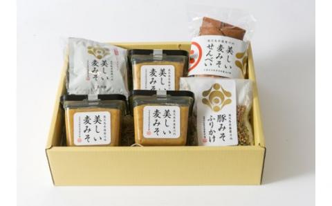 美しい麦みそ全部いただきますセット