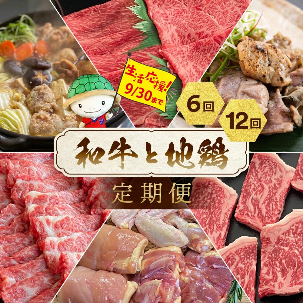 【ふるさと納税】【訳あり・生活応援】和牛と地鶏 定期便 6回/12回＜京都亀岡丹波山本×ひら山＞京の肉＆地鶏丹波黒どり・丹波赤どり 冷凍 お楽しみセット≪訳あり 不揃い 定期便 肉 12ヶ月 6ヶ月 鶏肉 牛肉 地鶏 黒毛和牛 国産 ふるさと納税肉≫【9/30まで 寄附額改定】