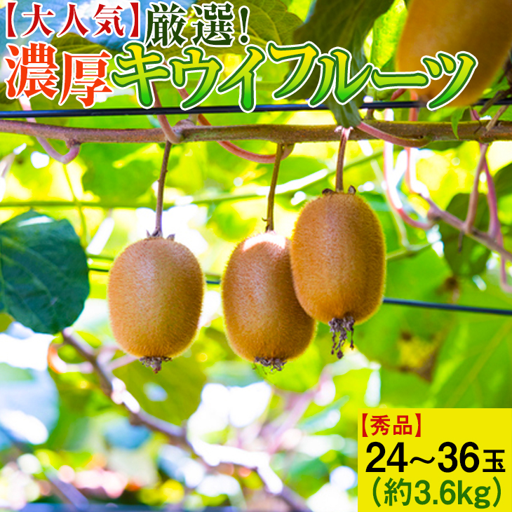 【大人気】厳選!濃厚キウイフルーツ【秀品】24～36玉(約3.6kg) ｜くだもの 果物 フルーツ 産地直送 ※2025年1月中旬～3月上旬頃より順次発送予定