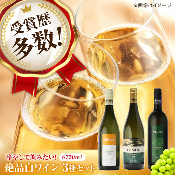 【ふるさと納税】 ソムリエが選ぶ TOMOEワイン 絶品 白ワイン 飲み比べ 各750ml 3本セット 白ワイン 受賞 飲み比べ ワインセット ギフト 三次市 / 広島三次ワイナリー[APAZ032]