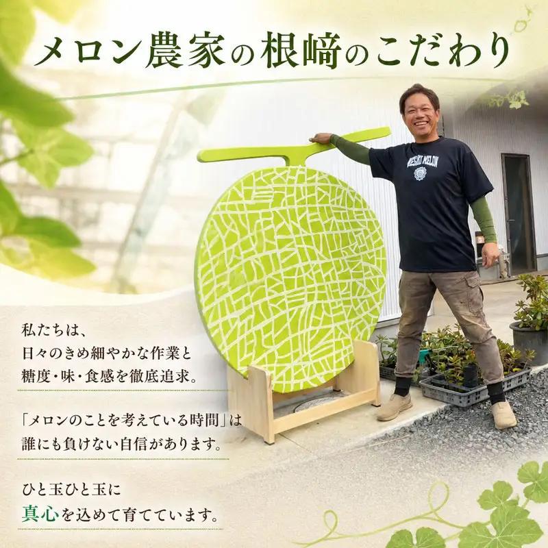 【訳あり】イバラキング（青肉メロン） 1玉入 青肉品種 根﨑メロン！ ／ イバラキング 果物 フルーツ 規格外 農家直送 nsn005_X1