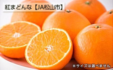 【11月下旬から発送】  松山市興居島産　紅まどんな　L～3Lサイズ（ みかん 紅まどんな 高級 柑橘 フルーツ 果物 蜜柑 みかん 愛媛 フルーツ 松山 みかん ）【FA0451】