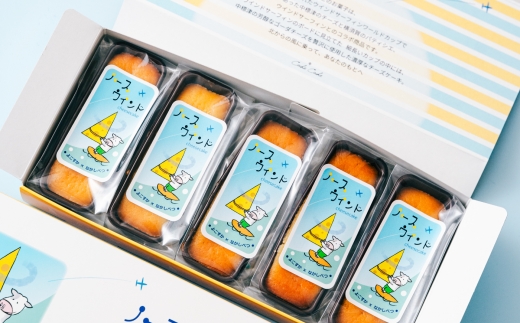 ノースウインド5個入り【カシュカシュ洋菓子店】 [AKCG004]