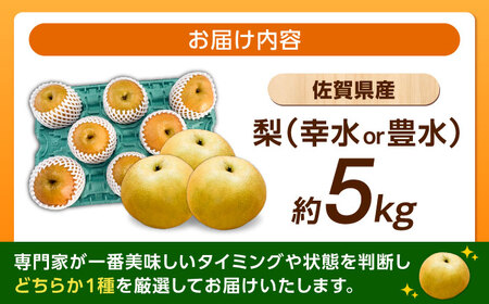 佐賀県産 梨（品種おまかせ）5kg / 和梨 果物 フルーツ 幸水 豊水 / 佐賀県 / リフルット株式会社[41ABAA025]