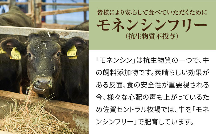 【牧場直送】【3回定期便】牛肉100％ふんわりロールステーキ 80g×7個【有限会社佐賀セントラル牧場】 [IAH051]