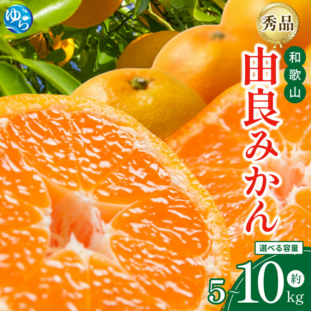 【ふるさと納税】和歌山由良みかん 秀品 サイズおまかせ(L・М・S) 約5kg 約10kg | ※2025年11月下旬～2026年1月中旬頃順次発送予定 | みかん ミカン 和歌山 由良 おまかせ フルーツ 果物 柑橘 和歌山県産 お取り寄せ ふるさと納税 返礼品