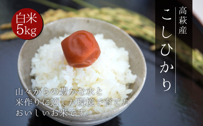 
            【令和6年度産】高萩市産 コシヒカリ 5kg 米 こしひかり こめ コメ  ごはん ご飯 お米 おこめ 精米 白米 茨城県 高萩市
          