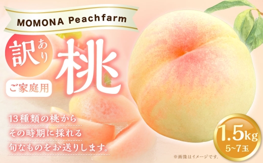 【 訳あり 】 ご家庭用 モモナピーチファームの桃 1.5kg （ 5～7玉 ） くだもの 果物 フルーツ 果実 果汁 果肉 もも 桃 モモ 国産 岡山県産 清水白桃 白鳳 恋みらい 冷蔵 【 2026年6月上旬～8月下旬迄発送予定 】