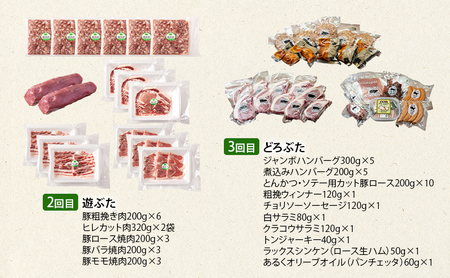 定期便 全3回 北海道十勝幕別のブランド放牧豚 食べ比べ 豪華満喫