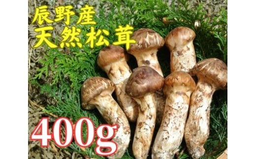 
            061 辰野産 天然松茸 400g
          