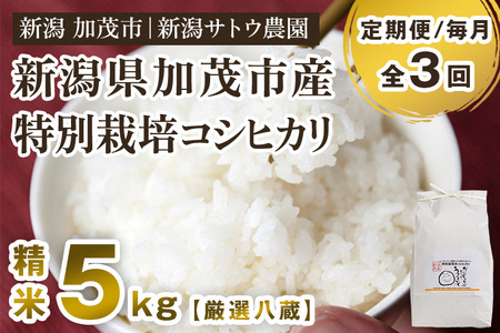 【定期便3ヶ月毎月お届け】【2024年先行予約】【令和6年産新米】化学肥料未使用の従来コシヒカリ【厳選八蔵5kg】特別栽培 有機肥料で育った厳選米 加茂市 新潟サトウ農園