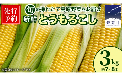 
                  【7月下旬発送開始】とうもろこし ゴールドラッシュ 3kg （7～8本）　野菜 旬の野菜 大粒 夏野菜 嬬恋村 高原野菜 先行予約 [BT002tu]
                