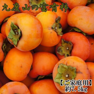 ふるさと納税 九度山町 ≪柿の名産地≫九度山の富有柿約7.5kg(サイズ混合　ご家庭用)【九度山町】