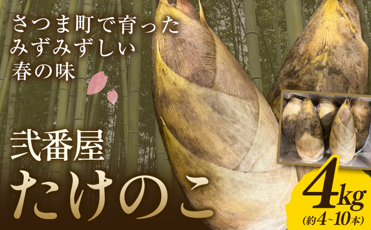 たけのこ 4kg 約4~10本 弐番屋《3月下旬-4月下旬頃出荷》鹿児島県 さつま町 筍 タケノコ