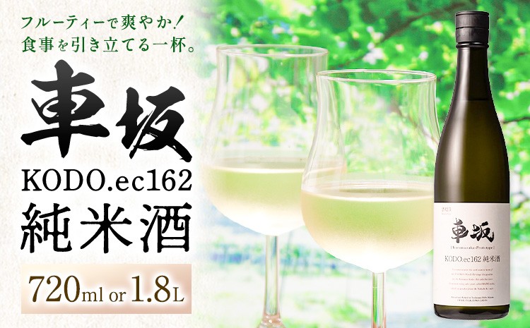 
                  酒 車坂 KODO.ec162 純米酒 選べる 720ml or 1.8L 酒のねごろっく《2025年6月上旬-2026年4月末頃に出荷予定(土日祝除く)》和歌山県 岩出市 お酒 さけ アルコール フルーティー 日本酒 お取り寄せ
                