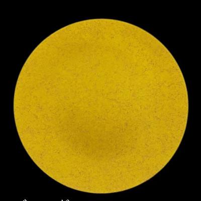 ふるさと納税 海南市 フラットプレート(D)　乱糸(マット仕上げ)ゴールド