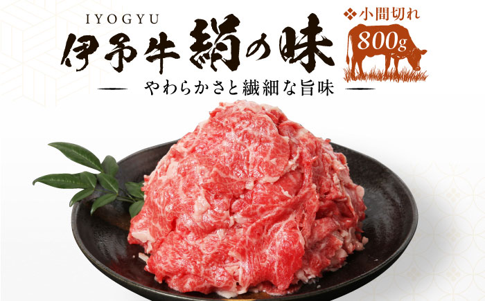 伊予牛「絹の味」黒毛和牛 小間切れ 800g（400g×2）／ 肉 お肉 にく 食品 愛媛県産 人気 おすすめ ギフト 【全国農業協同組合連合会愛媛県本部】 [BKBB002]