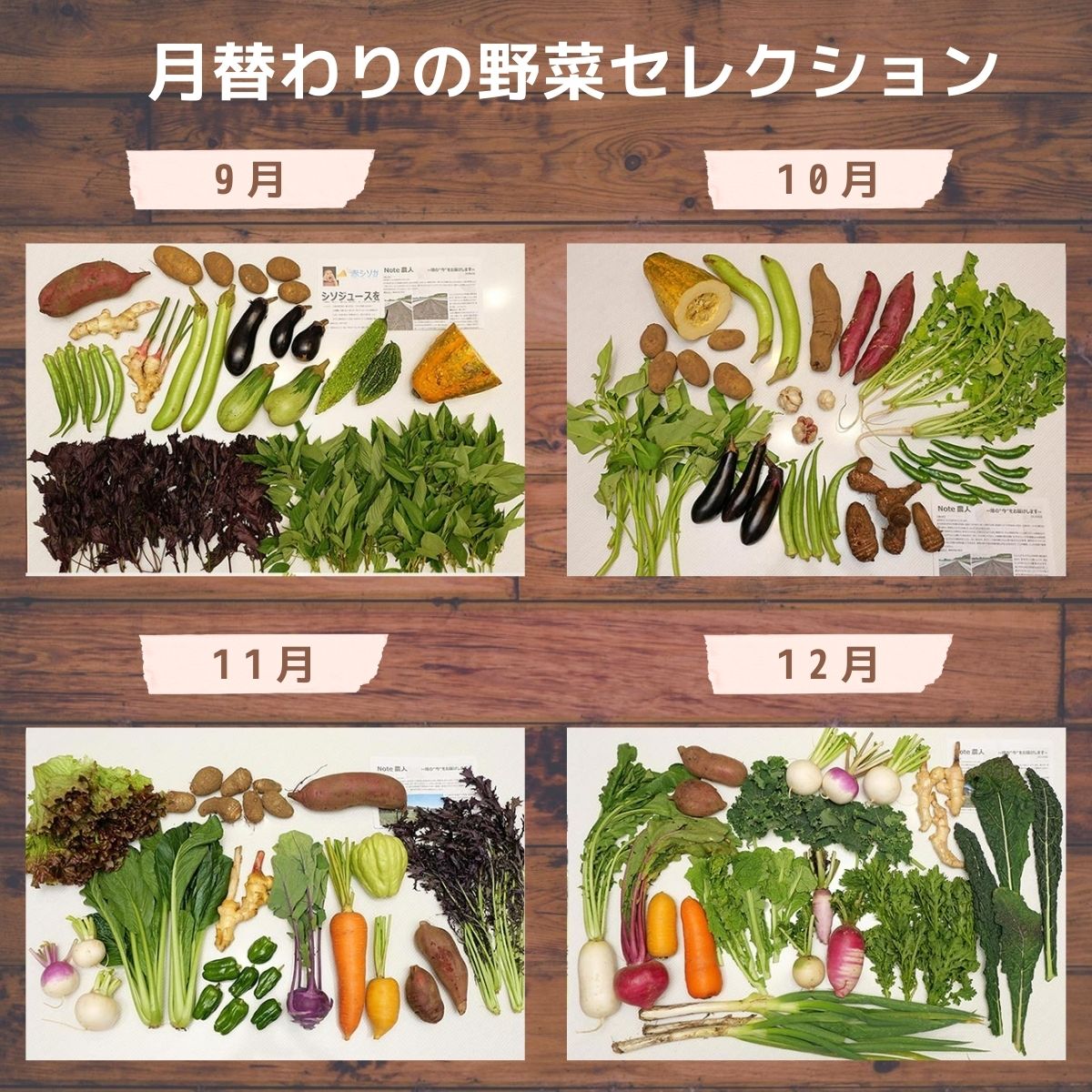 ＜12ヵ月定期便＞オーガニックファーム所沢農人の旬の野菜詰め合わせ(7～8種) | 埼玉県 所沢市 野菜 野菜詰合せ 野菜セット 詰め合わせ 詰合せ セット おいしい おすすめ プレゼント ギフト お