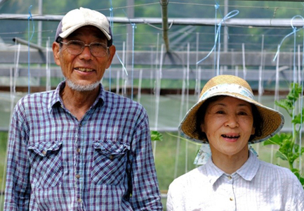 【高知県 大月町産】田村農園の囲生姜 1.2㎏