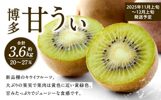 福岡県産 博多甘うぃ 約3.6kg（20玉～27玉入り）【2025年11月上旬～12月上旬発送予定】キウイ キウイフルーツ フルーツ 果物 くだもの 先行予約