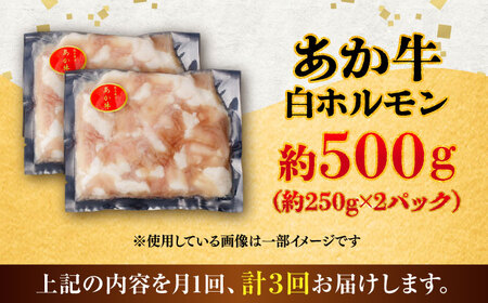 【全3回定期便】あか牛 白 ホルモン 約500g (約250g×2P) / 牛肉 褐毛和種 ホルモン 肉 九州産 国産牛 熊本県産 小分け あかうし 鍋 焼肉【五右衛門フーズ】[BHCY010]