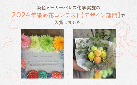 【定期便】 花束 毎月届く ピンポンマム 花束[HA500]