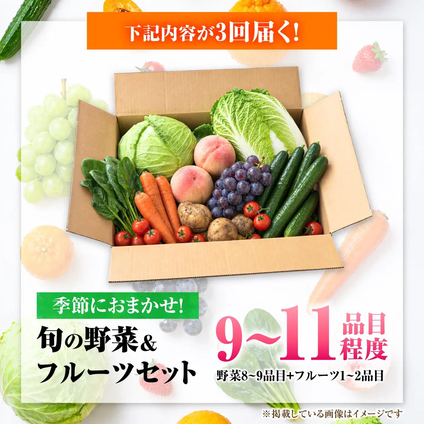 【3回定期便】【産地直送】長崎県諫早産 旬の野菜＆フルーツ詰め合わせ 9・11品目程度 季節のおまかせセット / 野菜 フルーツ 果物 セット 詰め合わせ 旬野菜セット 旬のフルーツ 旬 食べ比べ 産