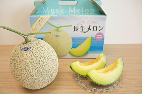 長生マスクメロン１箱６玉入（約９kg）【2026年夏発送分】
