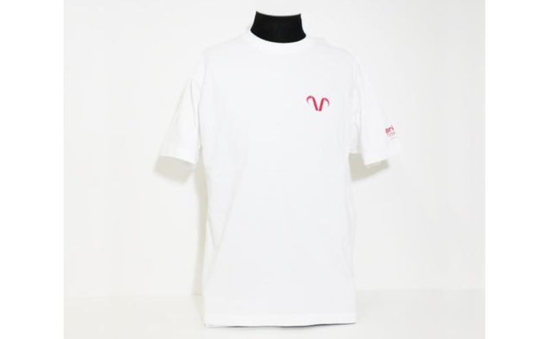 
                  エリース豊島 ロゴプリントTシャツ・ホワイト Tシャツ スポーツ サッカー クラブチーム 豊島区 東京都【L】
                