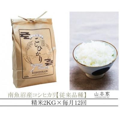 ふるさと納税 南魚沼市 【毎月定期便】山本家 南魚沼産コシヒカリ 精米 2kg【従来品種】全12回